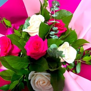 Meet your Posher, Tammy